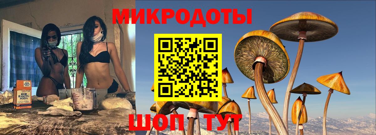 Галлюциногенные грибы GOLDEN TEACHER  Вход с VPN  Галлюциногенные грибы Psilocybine cubensis  Дубна 